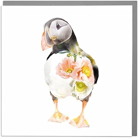 Lola Design - Wildlife Botanical Greeting Cards - Blank Cards and Envelopes - Hummingbird Animal Card