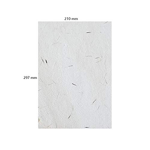 Marigold Seed Paper, Plantable Germination Paper, Stationery, Office Craft Paper A4 Size, 280 GSM (Pack of 10)