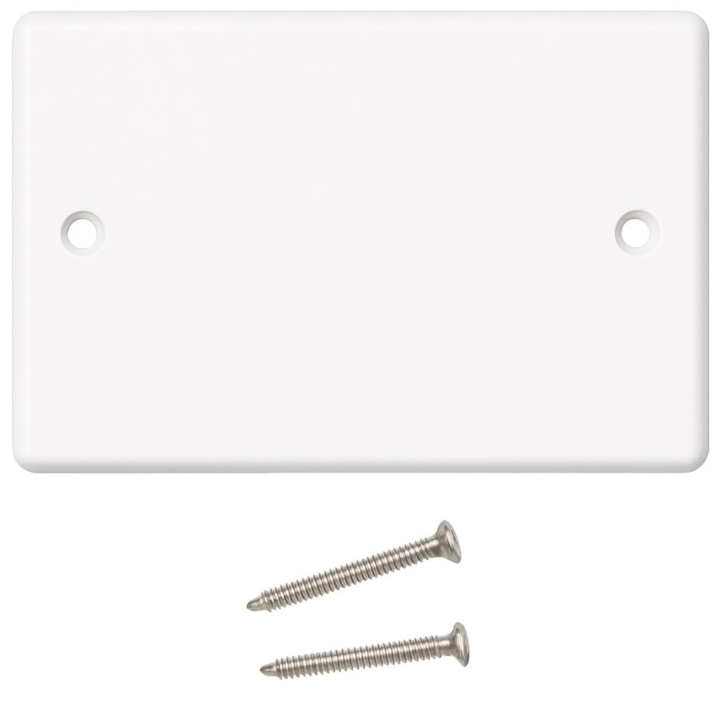 DRUT Plaque d'obturation Double, 2 Gangs, Plaque Frontale pour Prises électriques, boîte arrière Blanche, avec vis, 1 pièce