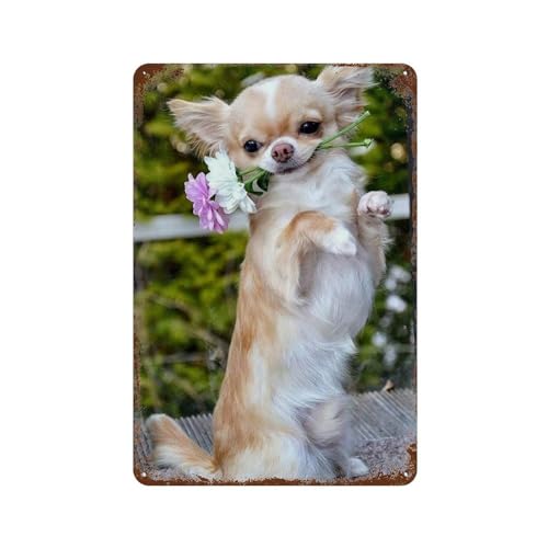 Metal Signs，Dog with flowers Chihuahua，Nostalgic Man Cave Tin Metal Sign Hanging Wall Plaque Kitchen Shed Garage-20x30cm(8x12 inch）E-45