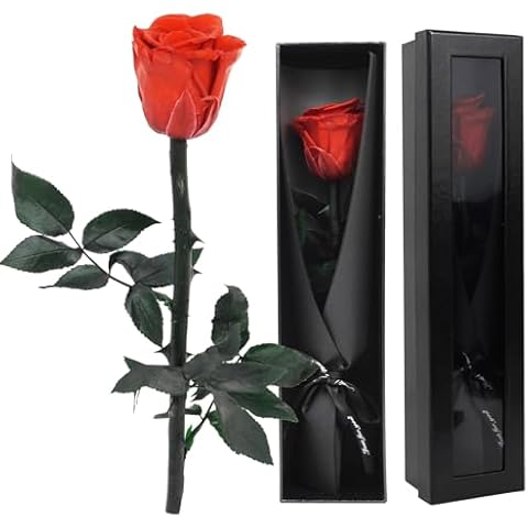 ZephyrCraft Eternal Real Rose Gift Box Cover