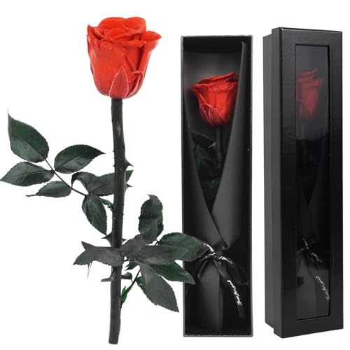 ZephyrCraft Eternal Real Rose in Gift Box, Preserved Flowers with Stem Real Rose Fresh Flower Gifts for Her Girlfriend Wife Valentine's Day Mother's Day