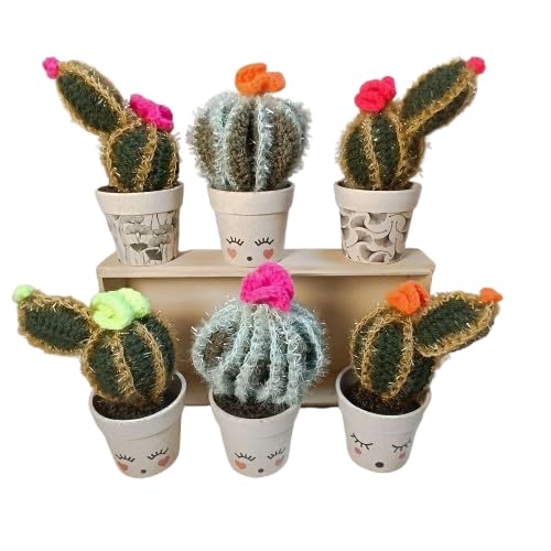 Cactus au crochet fait main en pot plante amigurumi décoration