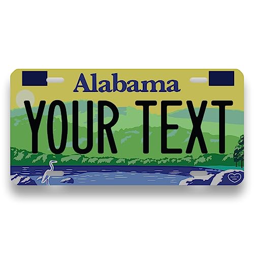 Custom License Plate 6x12" All 50 States Fake Vanity