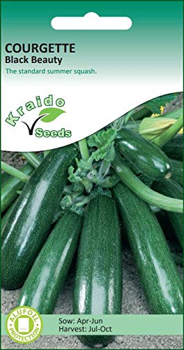 Courgette Zucchini Seeds Black Beauty Dark Green Heirloom Cucurbita Pepo 20 Seeds Grow Your Own Vegetable Perfect for Greenhouse or Outdoor Growing