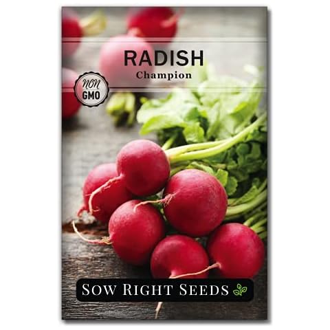 Sow Right Seeds - Champion Radish Seed Cover