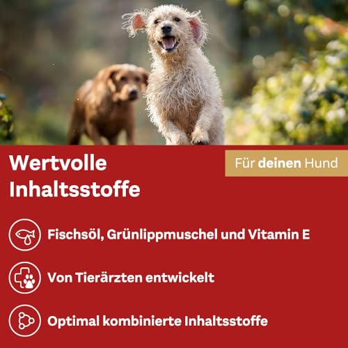 Doppelherz Gelenk Complex für Hunde – Mit essentiellen Omega-3 Fettsäuren + Vitamin E – 60 Chews