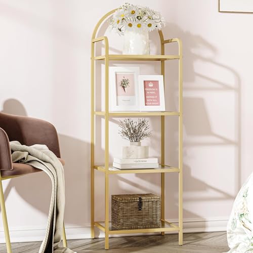 Hzuaneri 4-Tier Gold Frame Shelf