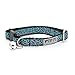 The Worthy Dog Cheetah Breakaway Adjustable Cat Collar, Kitten Collar for Cat With Bell, Comfortable And Durable Nylon Webbing, Teal, One Size