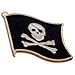 US Flag Store Lapel Pin Pirate Flag