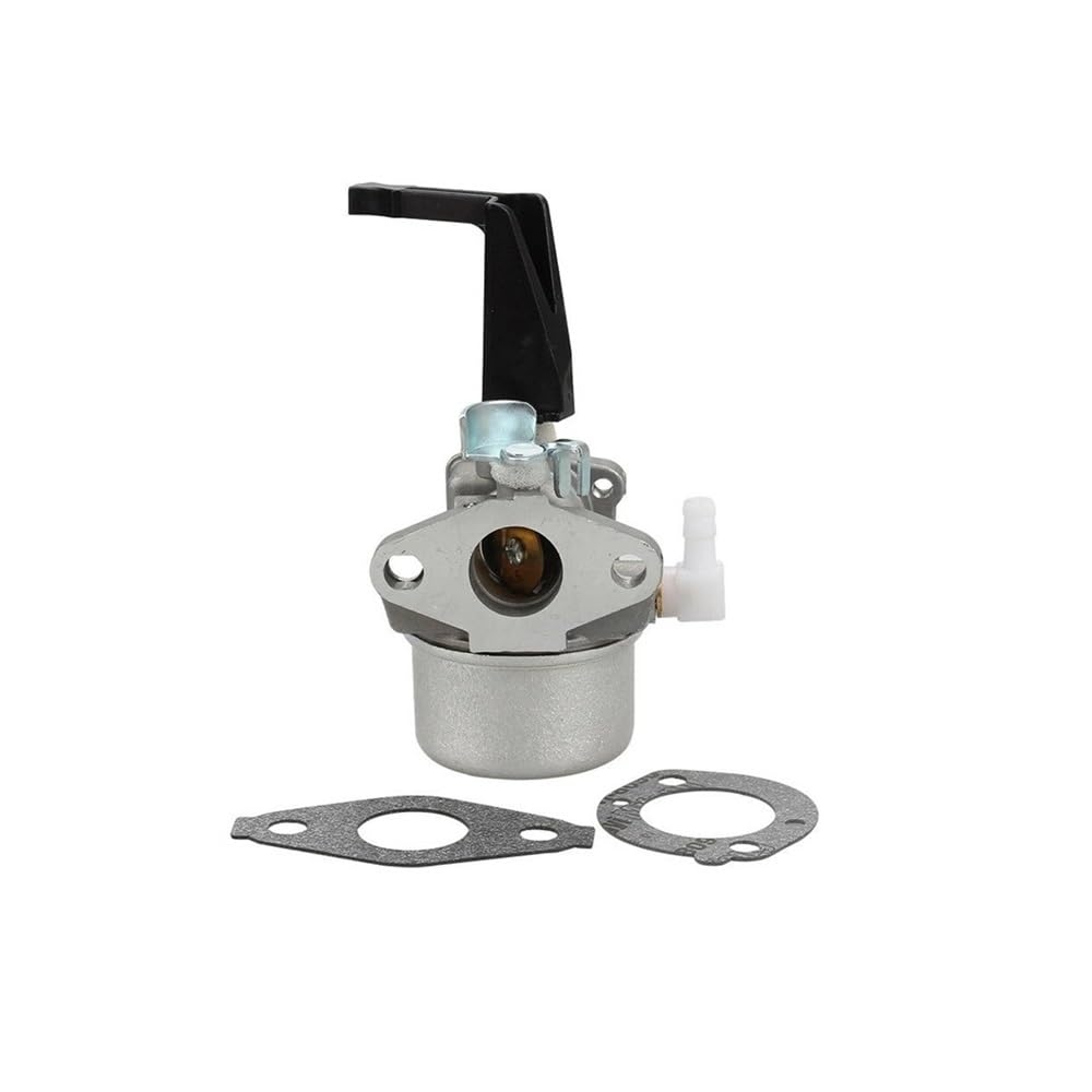 Carburateur pour 696065 et 697422 moteur 110412-0211-E1 et 110402-0206-E1