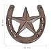 Parceria Cast Iron Horseshoe with Star Wall Decor, Vintage Metal Horseshoe Cast Iron Wall Art for Good Lucky, Stars Horse Shoes Decor for Wall Hung