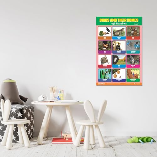 Image of ESCAPER Birds & Their Homes Educational Charts for Kids Learning, (11.5 x 17.5 inches), 300 GSM Paper Laminated, Self Adhesive Back Kids Study Material, Learning Chart, Educational Posters