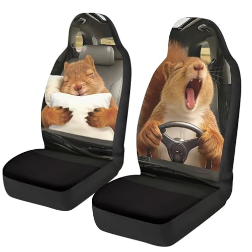 Housse de sièges auto avant camionnette élastique avec motif écureuil drôle couverture lavable
