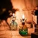 2 Pieces Large Chamber Oil Lamps, Glass Clear Color Kerosene Lamps for Indoor Use Home Decorative Hurricane Lamp Oil Lantern 11