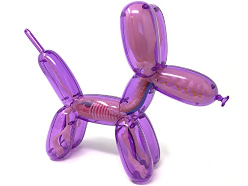 Jason Freeny Purple Balloon Dog Funny Anatomy Model
