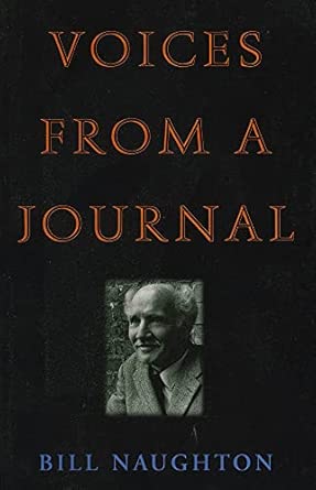 Voices From A Journal book cover