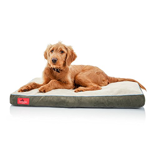 BRINDLE Soft Memory Foam Dog Bed with Removable Washable Cover - 28in x