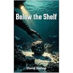 Cover of Below the Shelf
