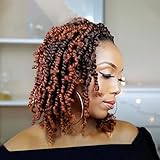 Fulcrum Pre-Twisted Passion Twist Crochet Hair 10 Inch, 8 Packs Pre Looped Passion Twist Braiding Synthetic Hair, Bohemian Braids For Crochet Pretwisted Hair Extensions (10Inch (Pack of 8), T350#)