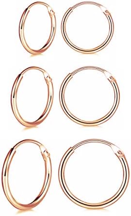 wynn's Silver Hoop Earrings Set, 3 Pairs 925 Sterling Silver Cartilage Small Endless Hoop Earrings Set, Hypoallergenic Silver Huggie Hoop Sleeper Earrings Nose Lip Rings for Women Men, 10, 12, 14, 16mm
