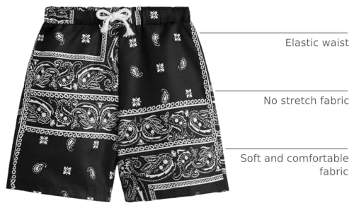Image of SOLY HUX Boys Boho Paisley Print Short Sleeve T Shirt and Shorts Set 2 Piece Outfits