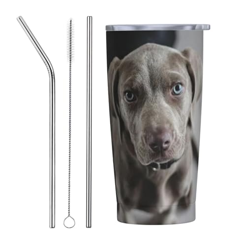 킢 C}i[  }OJbv R[q[Jbv RrjJbv ۗ ۉ ^u[ XeX ^fM}O Wt ^ ڃhbv ԗp Aj LN^[ ObY 킢 v[g 600ml Straw Three-Pi