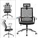 Office Chair High Back Desk Chair for Computer, Black Mesh Back Adjustable Height Tilt Angle Swivel Ergonomic Chair with Lumbar Support Headrest Metal Base