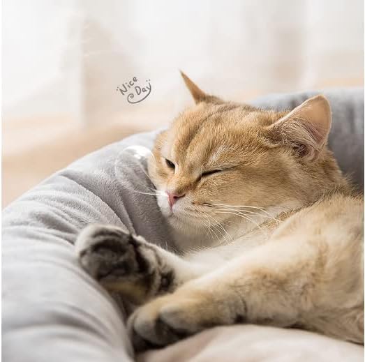 Cat Litter Four Seasons Universal cat Bed cat mat Sleeping with deep Sleep nest Dog Litter Bed Spring and Summer Round nest pet Supplies (Medium（50 * 50）, Grey)