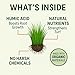 GS Plant Foods Green Envy Liquid Lawn Food – Fall & Winter Lawn Prep Fertilizer for Strong Roots and Resilient Grass, Suitable for Organic Growing (1 Gallon)