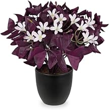 Briful Artificial Purple Foliage Plant with White Flowers, 13.3 Faux Tabletop Decor in Matte Black Pot, Compact Decorative Fake Plants for Desk, Shelf & Coffee Table