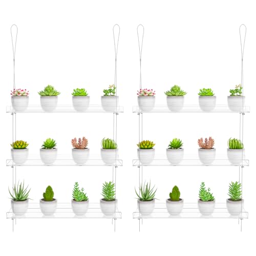 OtNiap Clear Hanging Window Plant Shelves, 2-Pack 3-Tier, 16-Inch Stand