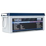 WEIZE 12V 200Ah LiFePO4 Lithium Battery with Self-Heating Function, Built-in Smart BMS, Up to 8000 Deep Cycles Rechargeable Battery Perfect for RV, Solar, Marine, Camping, and Off Grid