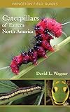 Caterpillars of Eastern North America: A Guide to Identification and Natural History (Princeton Field Guides)