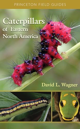 Caterpillars of Eastern North America: A Guide to Identification and Natural History (Princeton Field Guides)