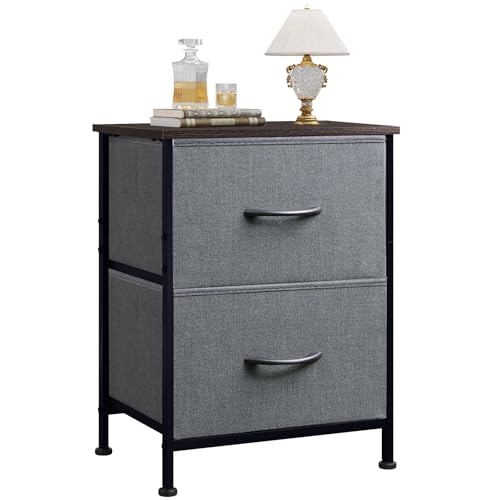 WLIVE Nightstand, 2 Drawer Dresser for Bedroom, Small Dresser with 2 Drawers, Bedside Furniture, Night Stand, End Table with Fabric Bins for Bedroom, Closet, Entryway, College Dorm, Dark Grey