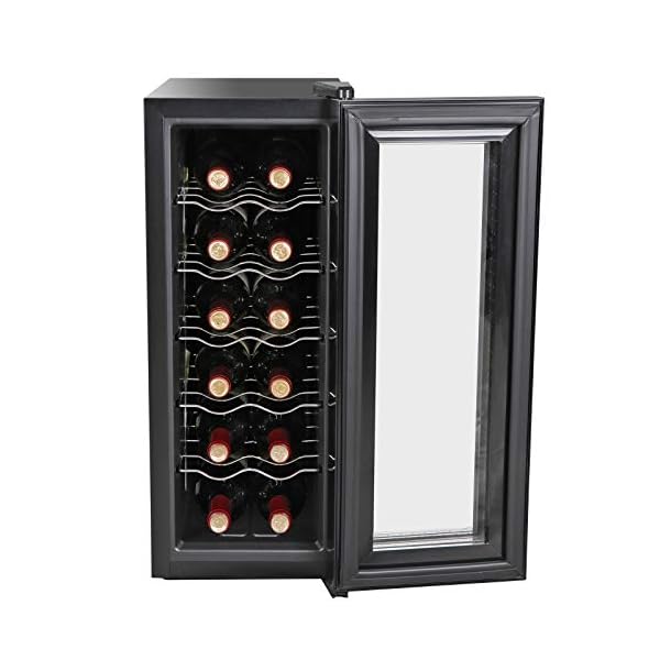 BBBuy 12 Bottle Thermoelectric Red & White Wine Cooler/Chiller Counter