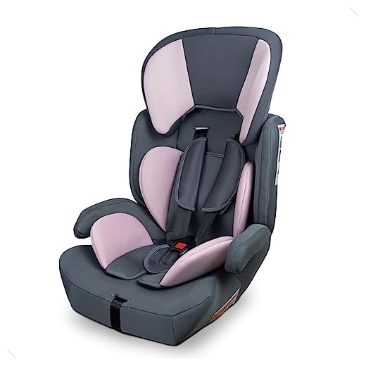 Cadeira De Segurança Para Carro, Styll Baby 9-36 Kg, Grafite e Rosa, Tamanho único