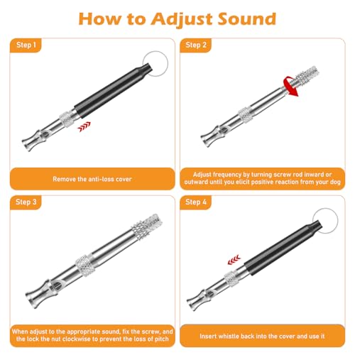 DOG TRAINING WITH LINCAE WHISTLE