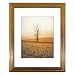 Golden State Art, 11x14 Photo Frame with White Mat for 8x10 Pictures & Real Glass, 1.25-Inch Wide, Dark Gold