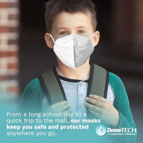 DemeTECH NIOSH N95 Respirator Face Mask, Fold-Style with Headbands, Made in USA, 20 Qty