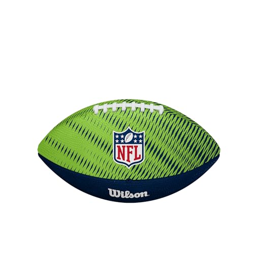 Image of WILSON Unisex NFL Team Tailgate Footballs