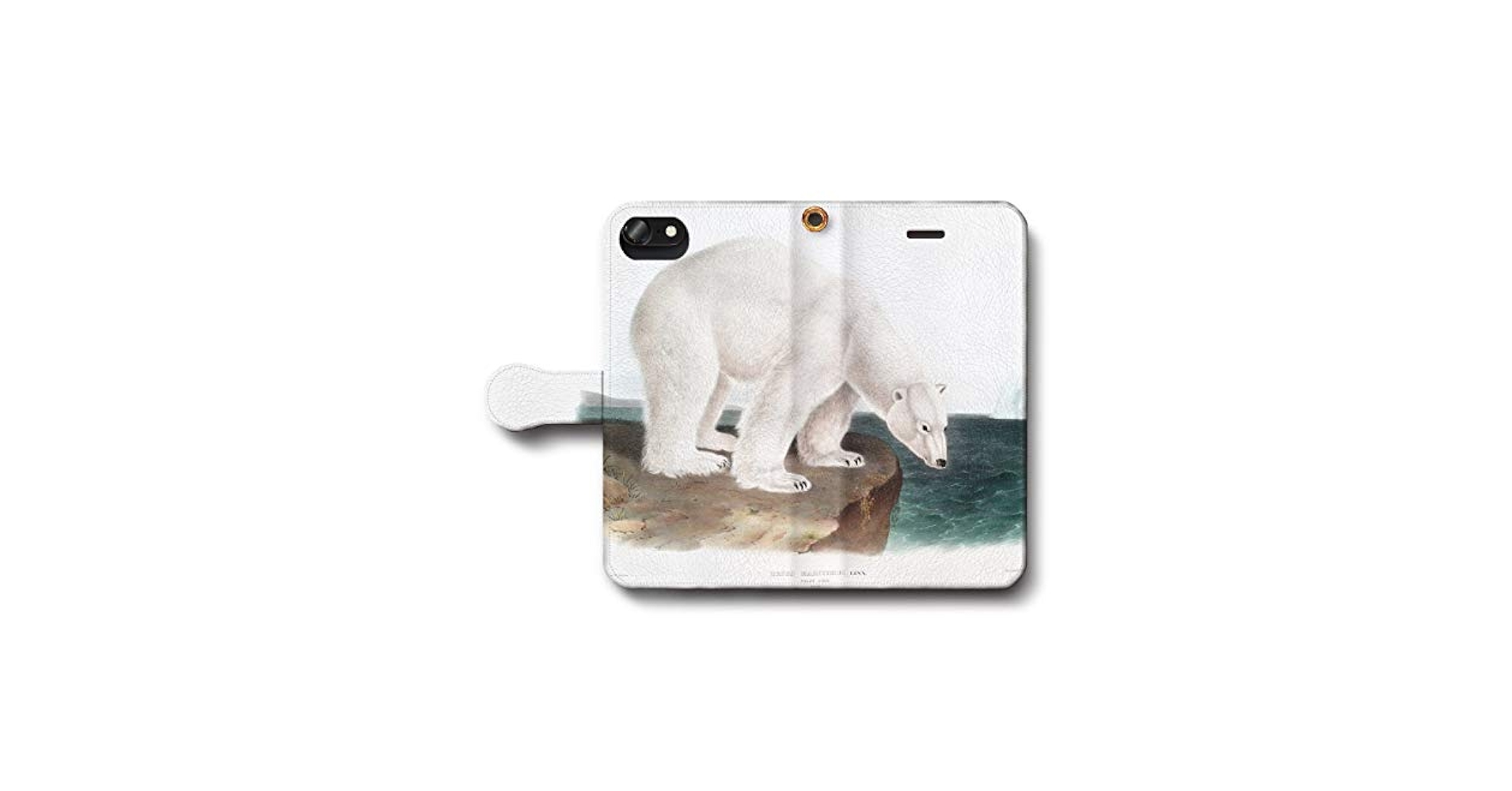 SHARP - くまくま♡ BABY京都店 4/25（金）リニューアルオープン記念♡限定企画開催