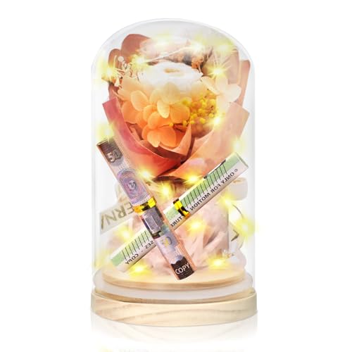 Charfia Geschenke für Frauen Mama, LED Ewige Rose im Glas Mama Geburtstagsgeschenk für Frauen Jahrestag Geschenk für Sie,...