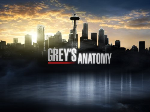 Grey's Anatomy Season 8