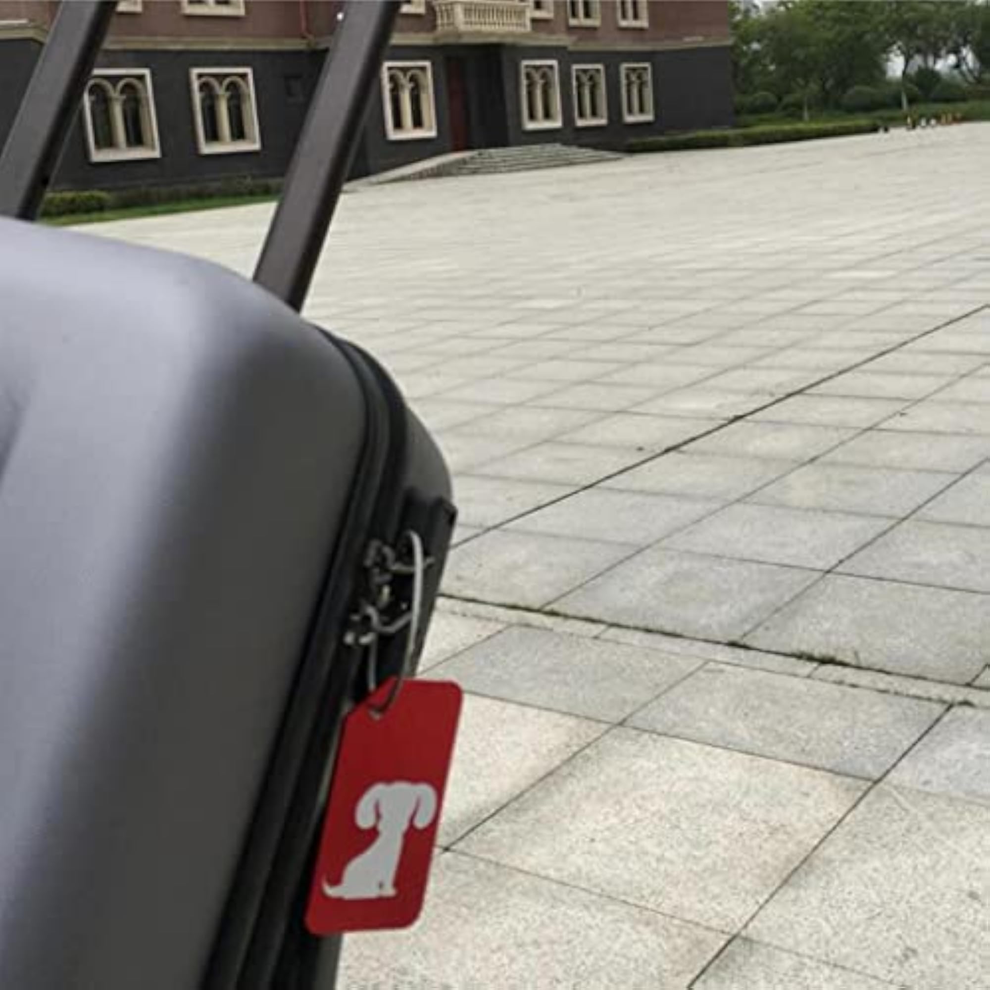Metal Luggage Tag Card for Suitcase, Boneset Design