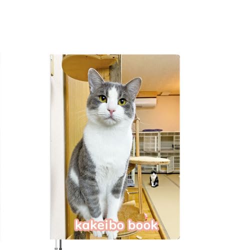 y\̔z L̂ɂ񂽂 2025N ƌv뒠 CA25023