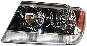 TYC Left Headlight Assembly Compatible with 2002-2003 Jeep Grand Cherokee