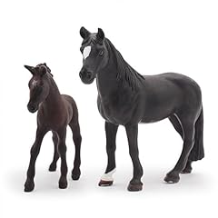 C-black Horses