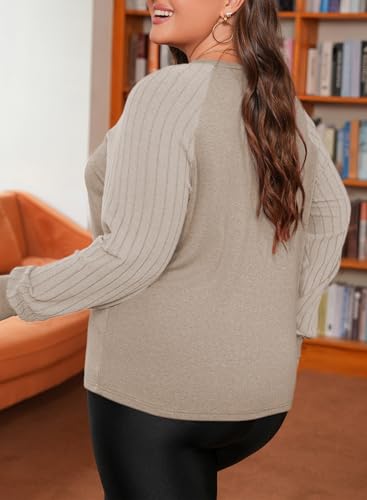 Eytino Plus Size Tops for Women Casual Crewneck Raglan Long Sleeve Fall Shirts Loose Lightweight Tunics(1X-5X)2